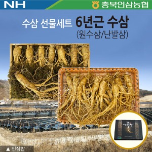 농협 신토불이 수삼 선물세트 중 15~17뿌리 1kg
