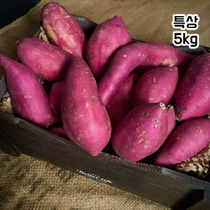 프리미엄 세척 꿀고구마(풍원미) 고구메스 시즌2 특상 - 5kg (13~18개)