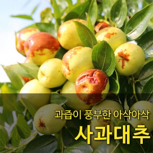 아삭아삭 국내산 사과대추 1kg(2팩)